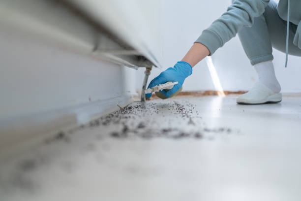 Best Pest Prevention Services  in East Lake Orient Park, FL